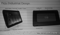 dell peju 1